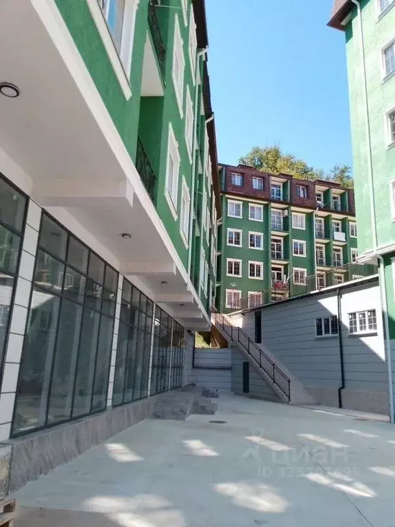 Помещение свободного назначения в Краснодарский край, Сочи Адлер ... - Фото 2