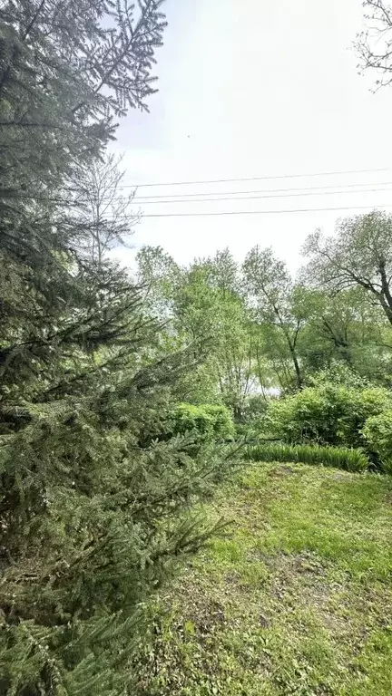 Дом в Тульская область, Узловский район, Шахтерское с/пос, с. Ильинка, ... - Фото 2