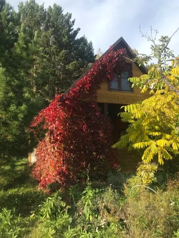 Дом в Красноярский край, Емельяновский район, Мининский сельсовет, ... - Фото 0