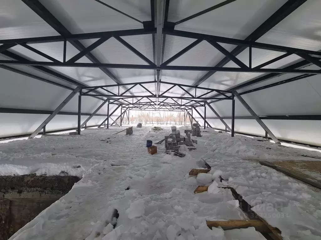 Помещение свободного назначения в Курганская область, Курган просп. ... - Фото 1