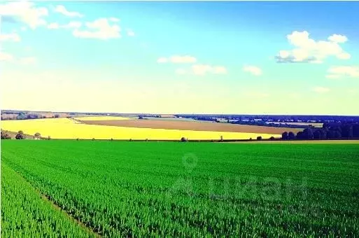 Участок в Ленинградская область, Ломоносовский район, Аннинское ... - Фото 1