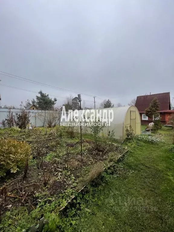 Участок в Ленинградская область, Кировский район, Мгинское городское ... - Фото 2