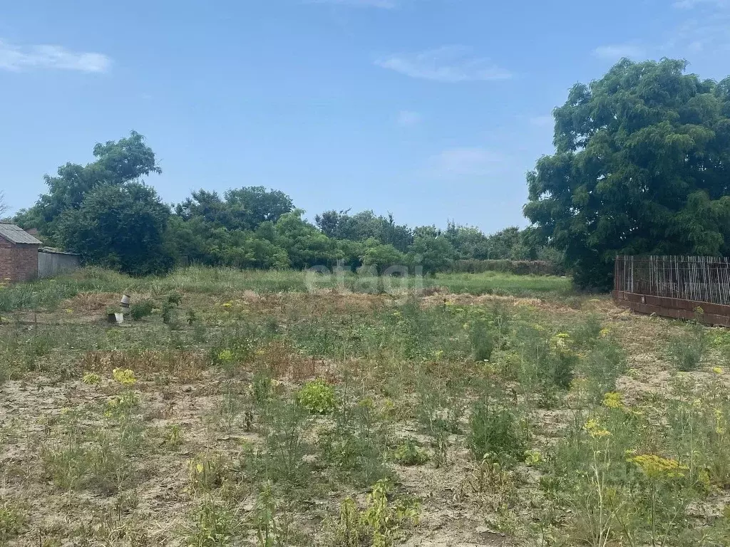 Участок в Краснодарский край, Ейский район, Камышеватская ст-ца ул. ... - Фото 1