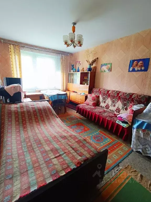 1-к кв. Нижегородская область, Балахнинский муниципальный округ, Малое ... - Фото 1