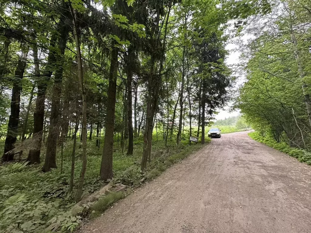 Участок в Московская область, Дмитровский муниципальный округ, ... - Фото 1