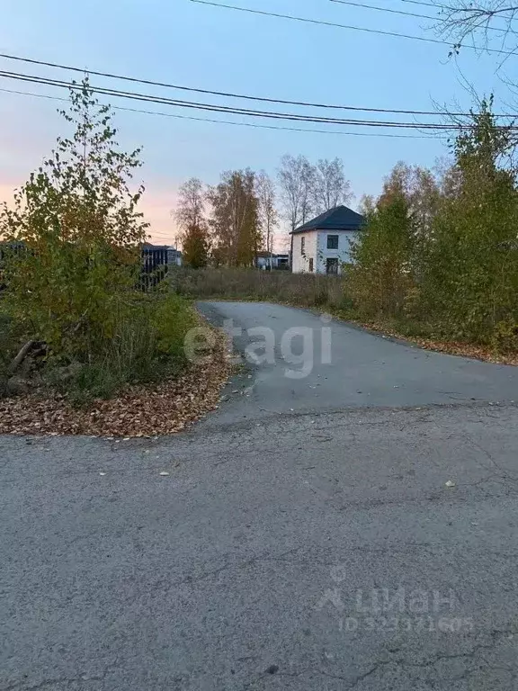Участок в Новосибирская область, Новосибирский район, Морской ... - Фото 1