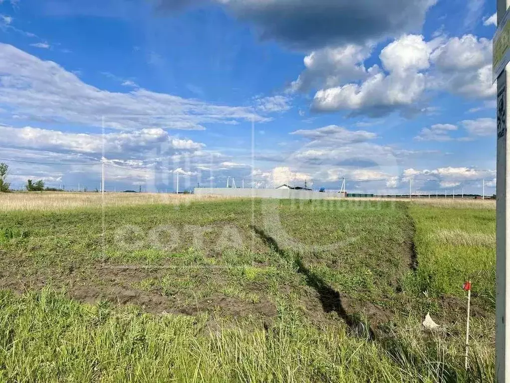 Участок в Воронежская область, Семилукский район, с. Девица ул. ... - Фото 1