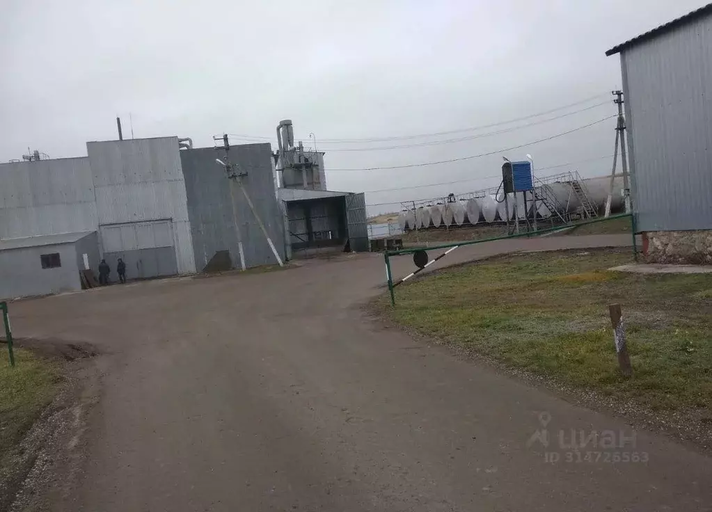 Производственное помещение в Воронежская область, Богучар 5 (45000 м) - Фото 0