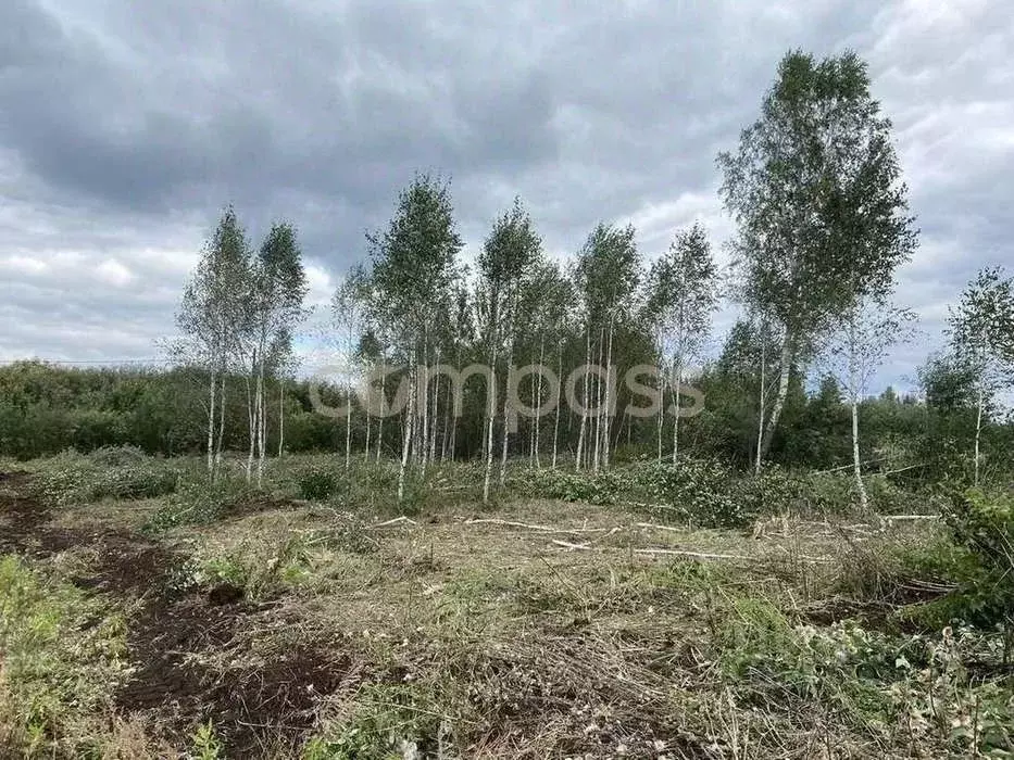 Участок в Тюменская область, Тюмень Светлое садовое товарищество, ул. ... - Фото 1