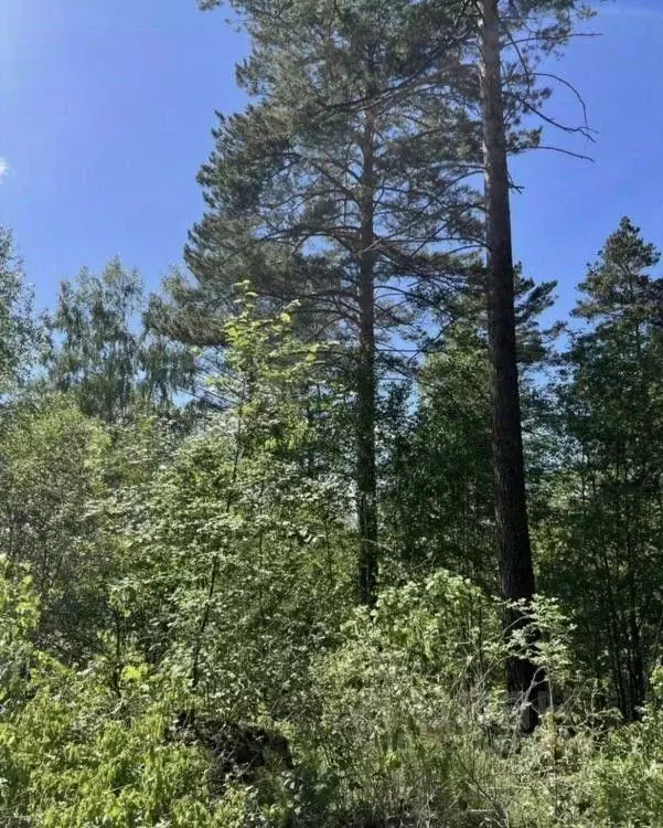 Участок в Иркутская область, Иркутский муниципальный округ, д. ... - Фото 1