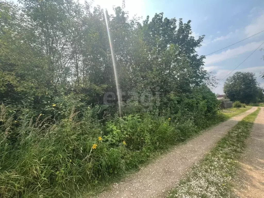 Дом в Владимирская область, Петушки Красноармейская ул., 108 (33 м) - Фото 2