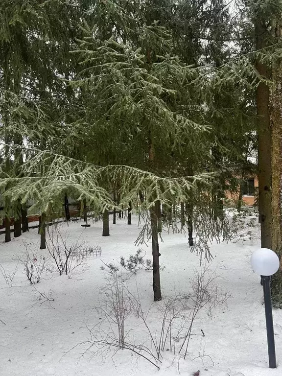 Дом в Московская область, Наро-Фоминский городской округ, д. ... - Фото 0