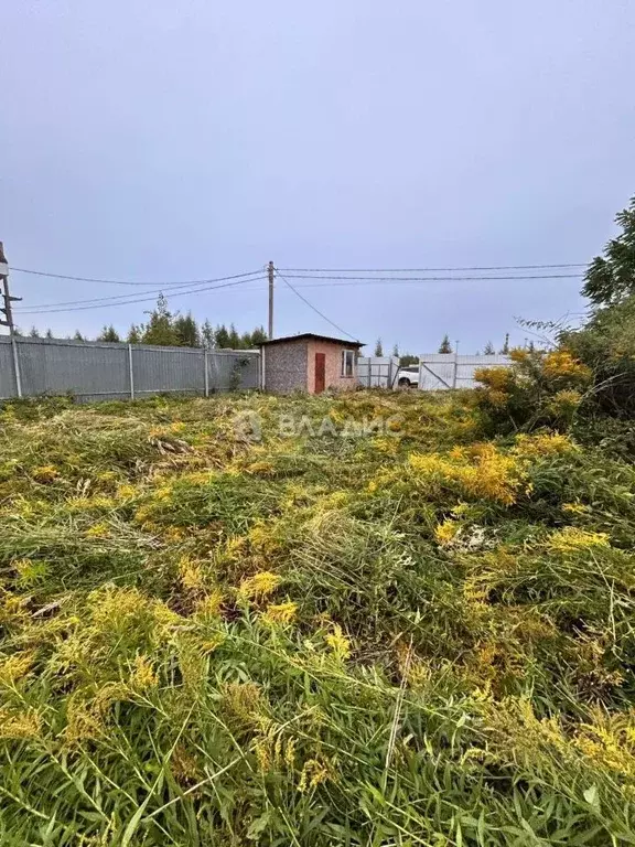 Участок в Нижегородская область, Нижний Новгород с. Федяково,  (8.5 ... - Фото 1