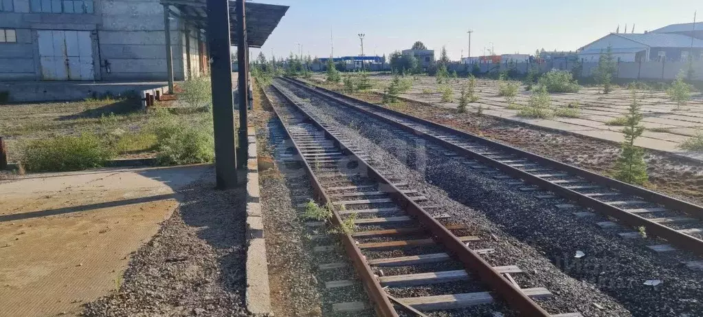 Склад в Ямало-Ненецкий АО, Новый Уренгой А панель,  (1296 м) - Фото 1