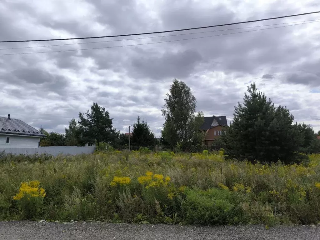 Участок в Московская область, Раменский муниципальный округ, с. Речицы ... - Фото 2