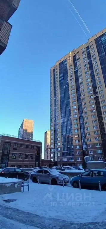 Студия Санкт-Петербург пос. Парголово, Заречная ул., 41 (22.0 м) - Фото 1