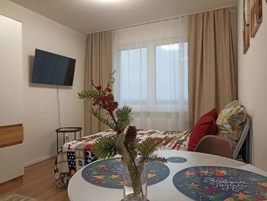 1-к кв. Санкт-Петербург ул. Пейзажная, 30 (20.0 м) - Фото 1