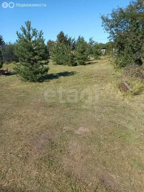 Участок в Рамонский район, Новоживотинновское сельское поселение, СНТ ... - Фото 1