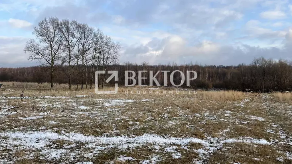 Участок в Ярославская область, Ярославский муниципальный округ, д. ... - Фото 2