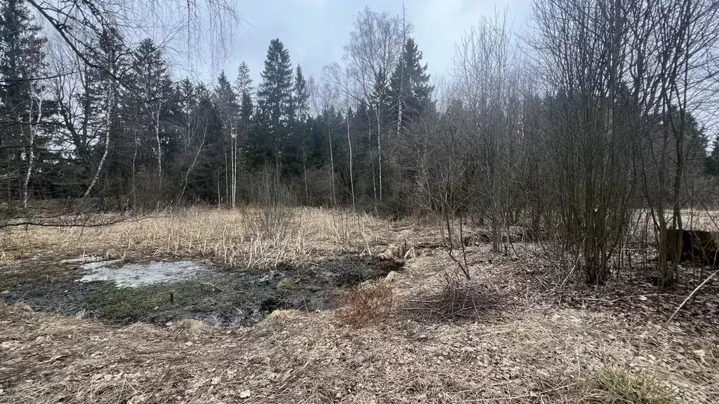 Участок в Московская область, Истра муниципальный округ, д. Часовня  ... - Фото 0