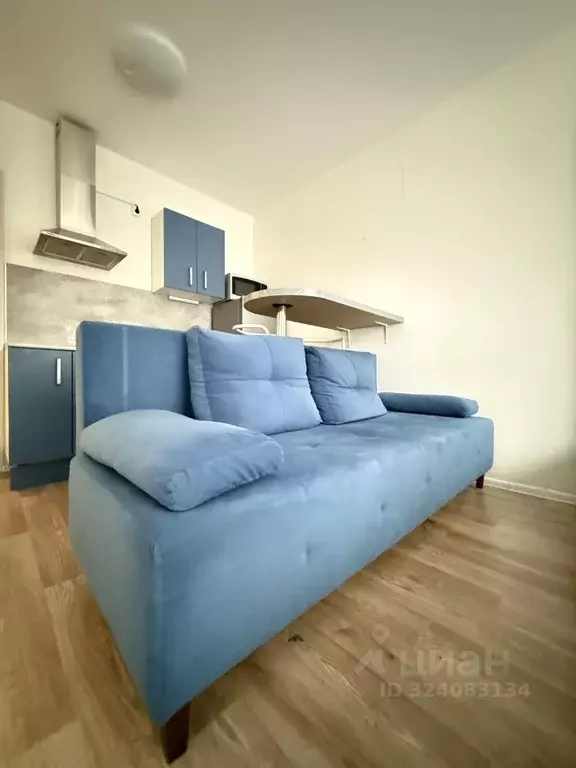 Студия Санкт-Петербург дор. Муринская, 27к2 (21.1 м) - Фото 1