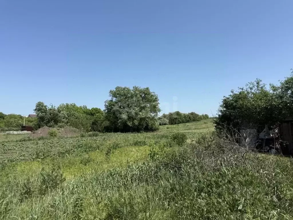 Участок в Белгородская область, Белгородский район, Беловское с/пос, ... - Фото 0