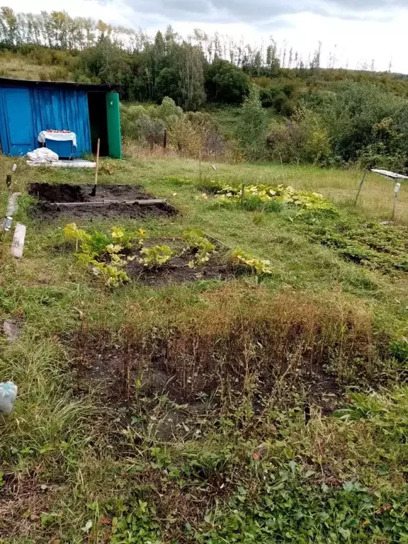 Дом в Пензенская область, Пензенский район, Богословский сельсовет, ... - Фото 2
