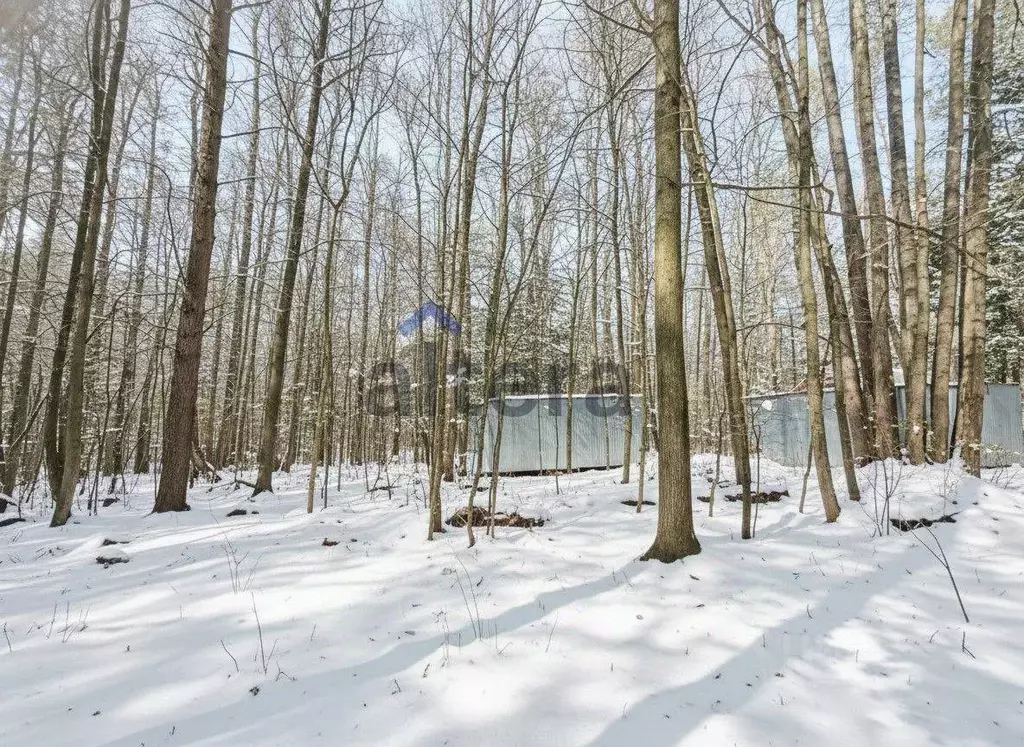 Участок в Татарстан, Лаишевский район, Матюшинское с/пос, Светлая ... - Фото 1