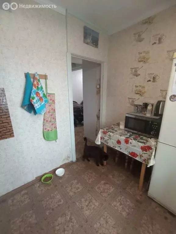1-комнатная квартира: Новокузнецк, проспект Запсибовцев, 12 (29 м) - Фото 1