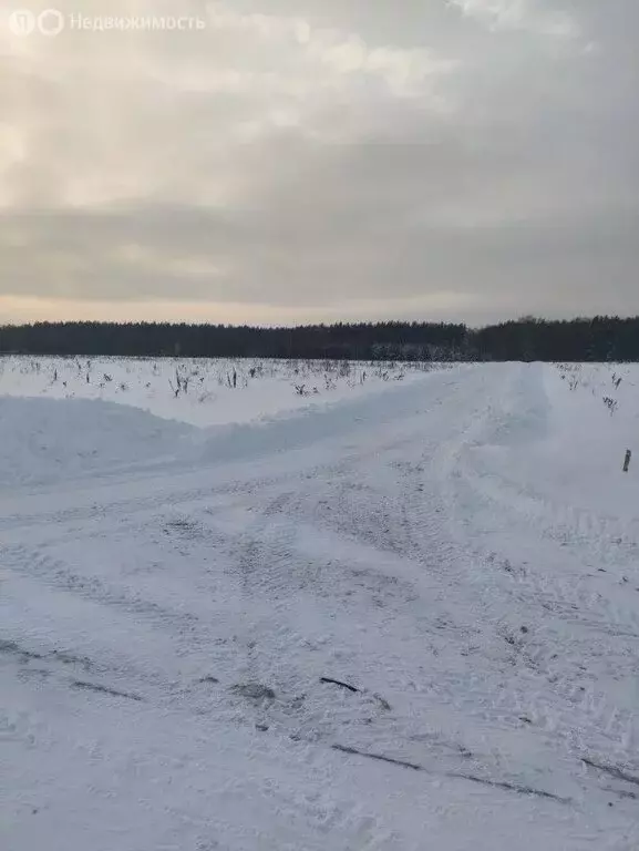 Участок в Московская область, Раменский муниципальный округ, КП ... - Фото 1