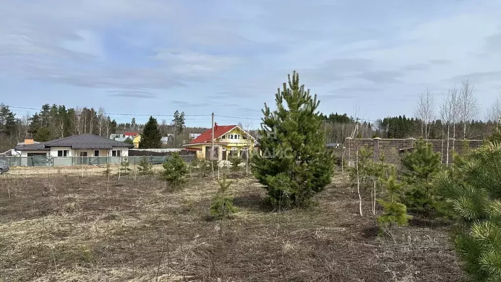 Участок в Московская область, Щелково городской округ, д. Вторая ... - Фото 1