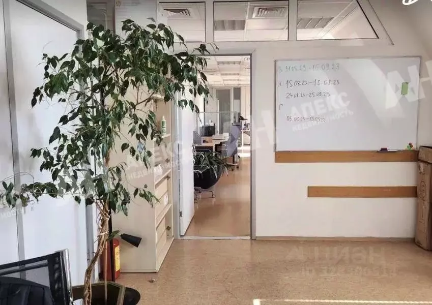 Помещение свободного назначения в Москва ул. Щепкина, 29 (72 м) - Фото 1