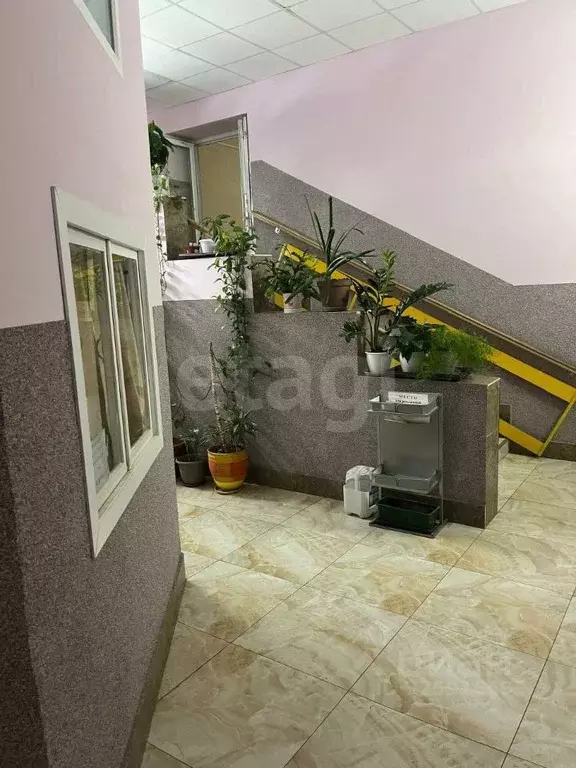 3-к кв. Санкт-Петербург Комендантский просп., 34к1 (86.2 м) - Фото 2