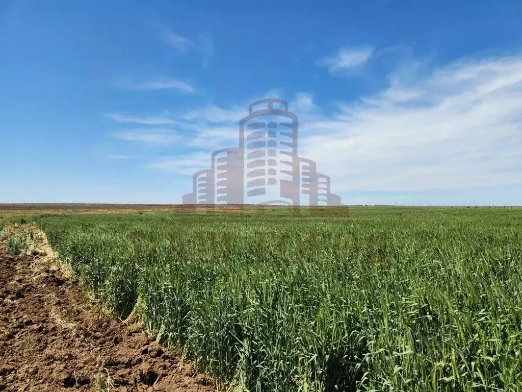 Участок в Крым, Феодосия муниципальный округ, с. Береговое  (530.0 ... - Фото 1