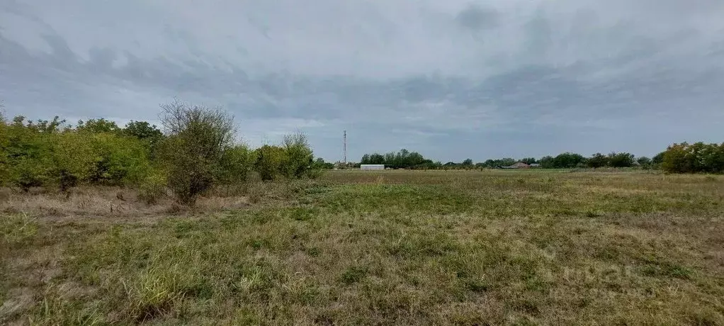 Участок в Краснодарский край, Северский район, Львовское с/пос, с. ... - Фото 2