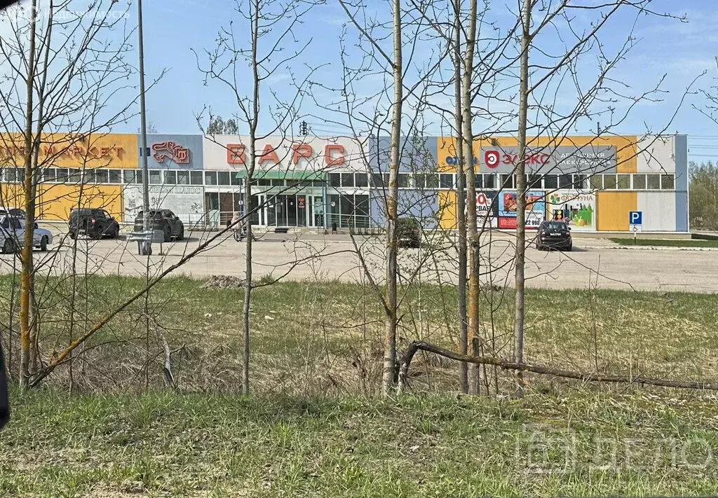Участок в Клепиковский район, Спас-Клепиковское городское поселение, ... - Фото 1