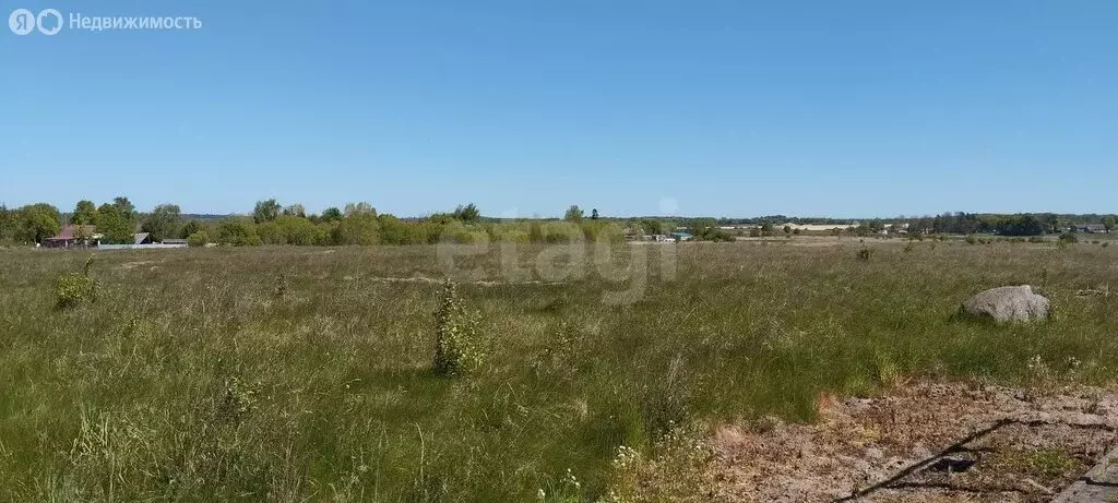 Участок в Калининградская область, Зеленоградский муниципальный округ ... - Фото 1