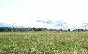 Участок в Оренбургская область, Оренбург городской округ, с. Пруды  ... - Фото 1