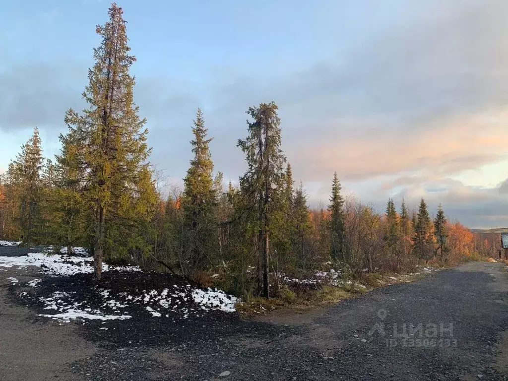 Участок в Мурманская область, Кольский район, Молочный городское ... - Фото 1