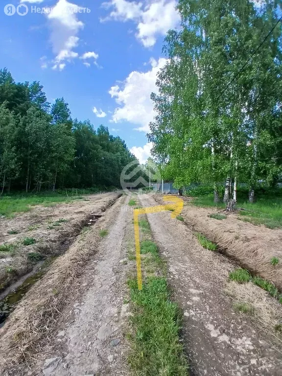 Участок в деревня Решоткино, Рябиновая улица, 15 (15 м) - Фото 1