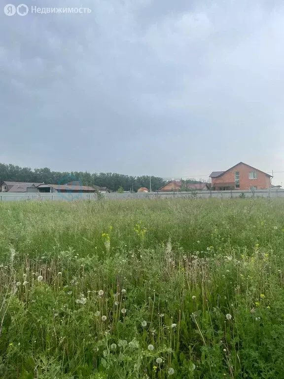 Участок в посёлок Омский, Мирная улица (10 м) - Фото 1