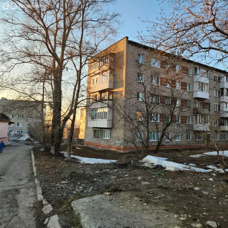 3-комнатная квартира: Соликамск, улица 20-летия Победы, 194 (58.5 м) - Фото 2