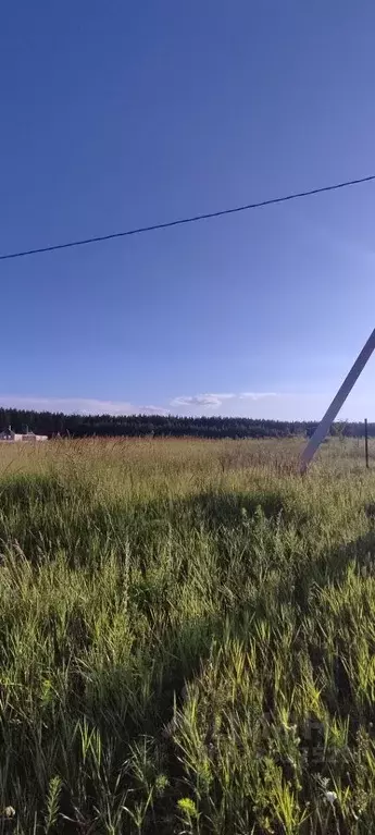 Участок в Ульяновская область, Ульяновск городской округ, с. Луговое ... - Фото 2