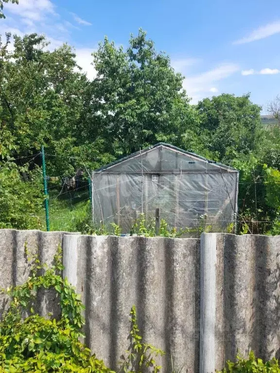 Участок в Ставропольский край, Ставрополь Комплекс-2 садовое ... - Фото 1