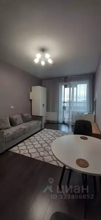 Студия Санкт-Петербург просп. Ветеранов, 181 (24.1 м) - Фото 1