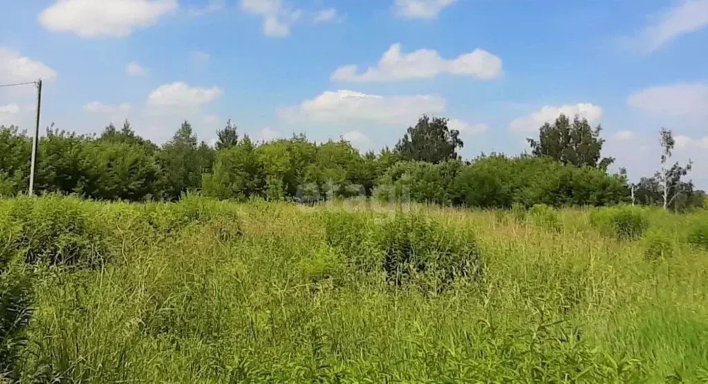 Участок в Брянская область, Брянский район, Мичуринское с/пос, д. ... - Фото 1