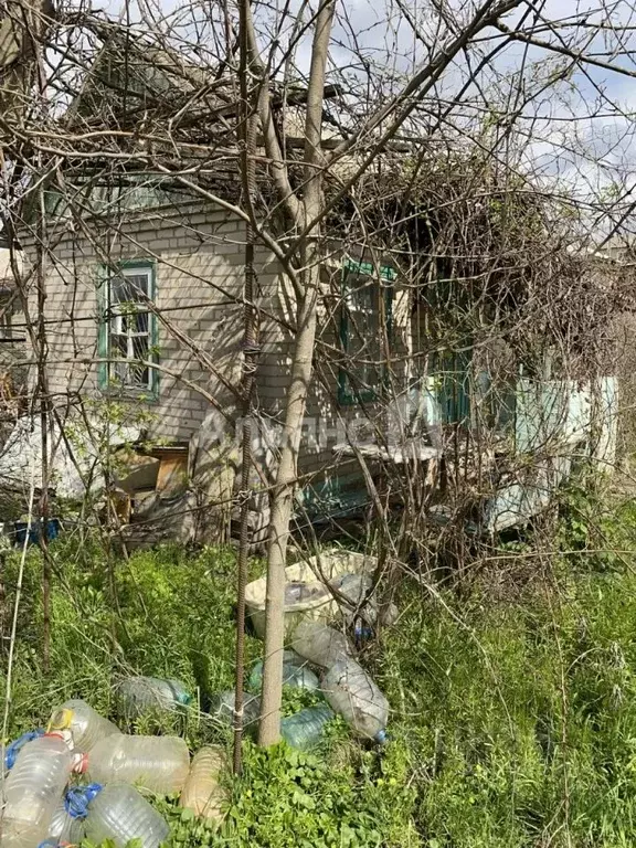 Дом в Ростовская область, Белая Калитва Дружба-2 садоводческое ... - Фото 2