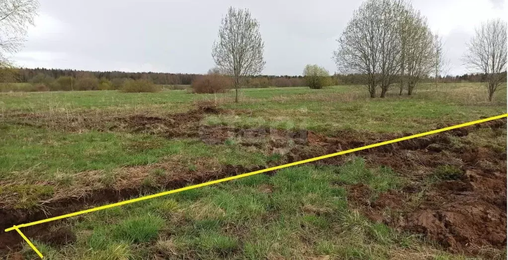 Участок в Вологодская область, д. Сорошнево (Сосновский сельсовет)  ... - Фото 2