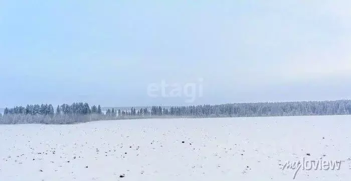 Участок в Саратовская область, Балашовский район, Лесновское ... - Фото 0