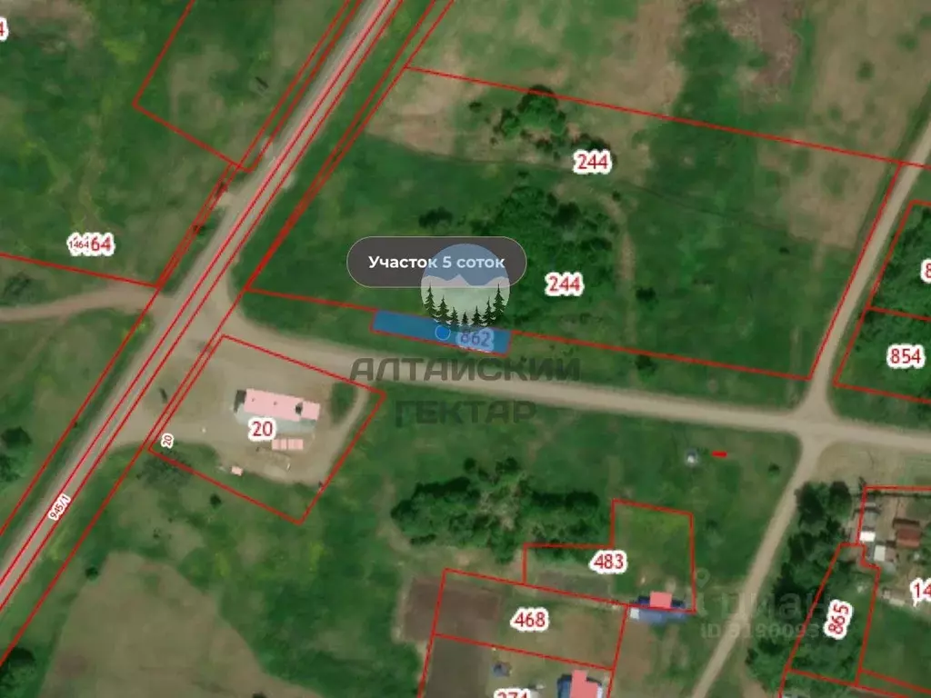 Участок в Алтайский край, Алтайский район, с. Нижнекаменка Камчатский ... - Фото 2